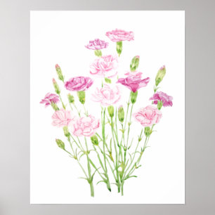 Póster pink carnation flowers  watercolor