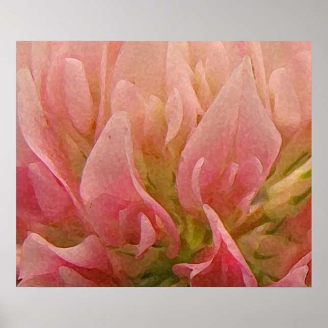 Póster Pink Clover (Frente)