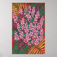 Pink Cone Ginger Alpinia Flores tropicales P