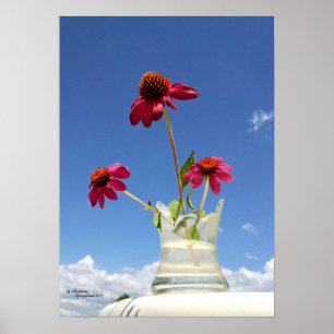 Póster Pink coneflowers flowers Poster