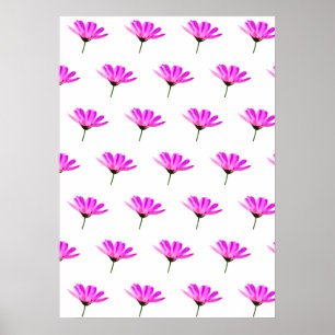 Póster Pink Daisy