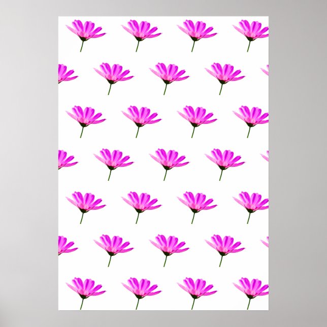 Póster Pink Daisy (Frente)