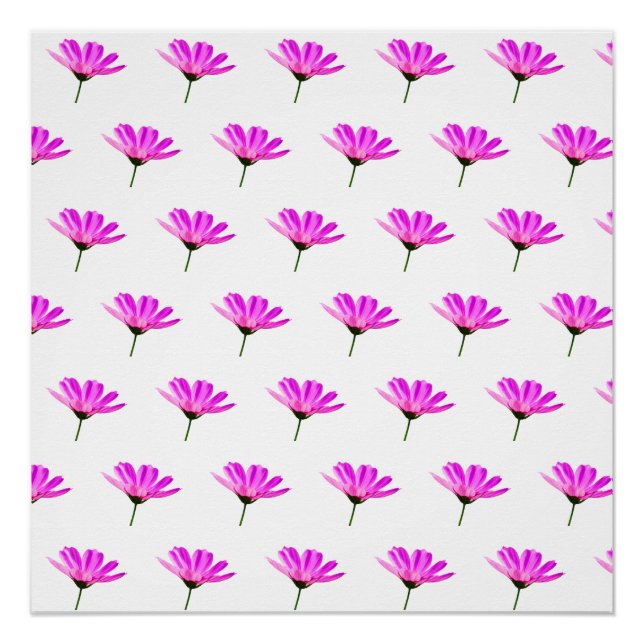 Póster Pink Daisy (Anverso)