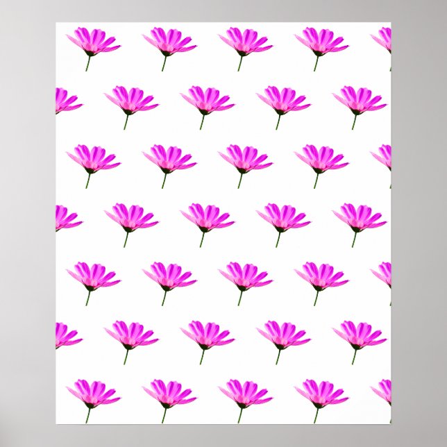 Póster Pink Daisy (Frente)