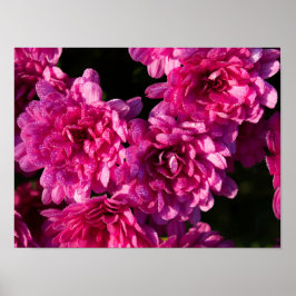 Póster Pink Fall Mums