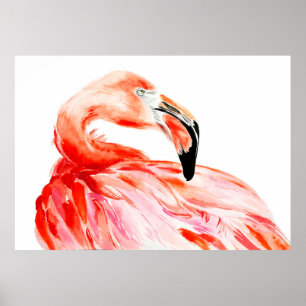 Póster Pink Flamingo bird profile portrait, amazing beaut