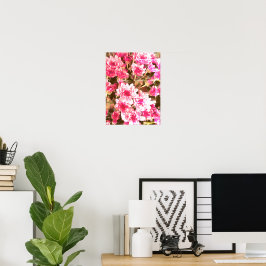 Póster Pink Floral Bloom Pattern – Soft Botanical Design