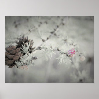Póster Pink flower at Larch Black and White