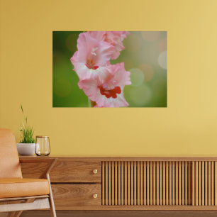 Póster Pink Happy Sunshine Gladiolus Flowers Arty
