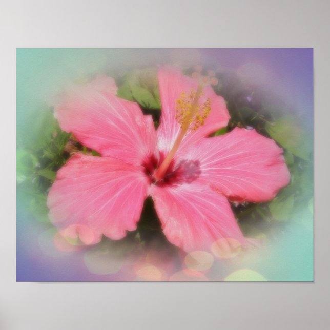 Póster Pink Hibiscus Flower (Frente)