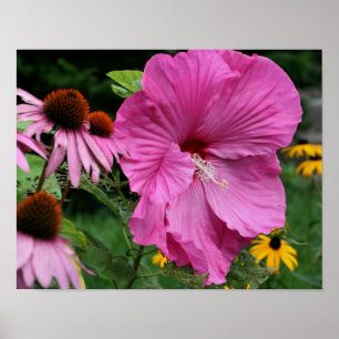 Póster Pink Hibiscus Y Flower Garden Friends