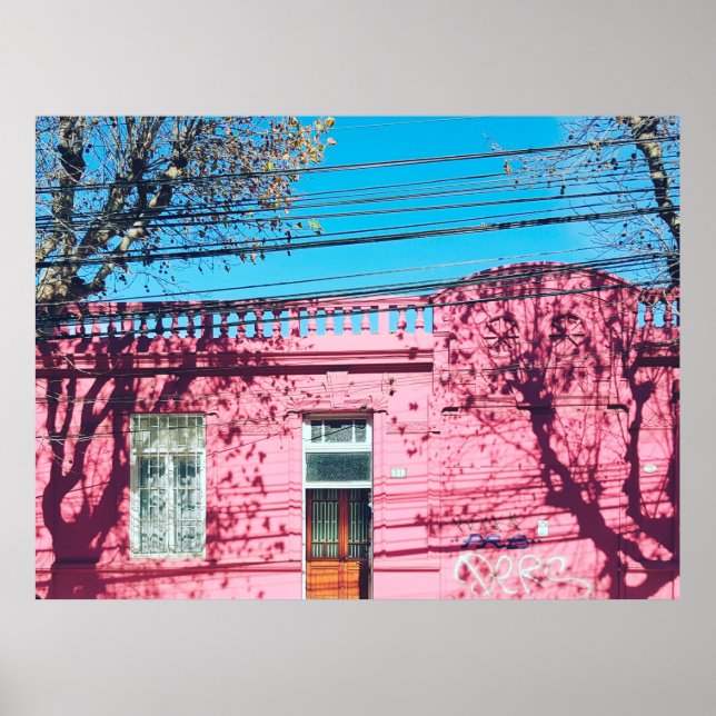 PÓSTER PINK HOUSE (Frente)