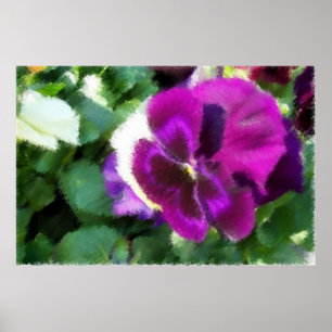 Póster Pink Pansy Soft Sketch