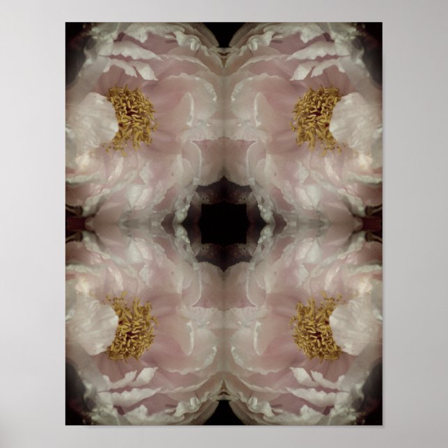 Póster Pink Peony Flower Center Resumen cosecha (Frente)