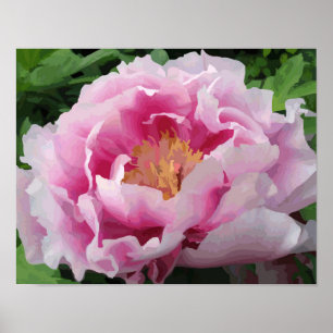 Póster Pink Peony Watercolor Fine Floral