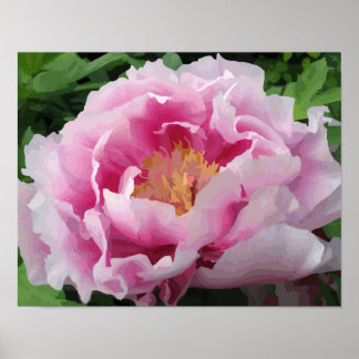 Póster Pink Peony Watercolor Fine Floral