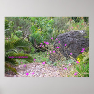 Póster Pink Poppies Garden