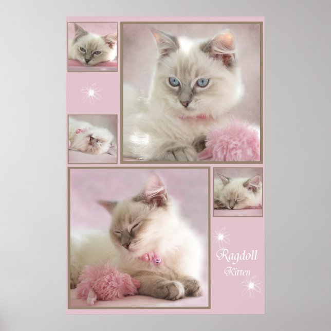 Póster pink poster3 (Frente)