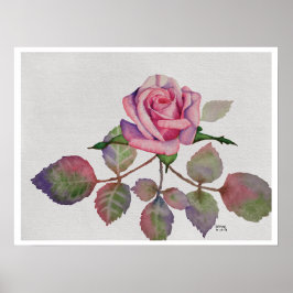 Póster Pink Rose with Abstract Leaves Watercolor