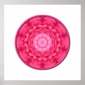 Póster Pink Roses Kaleidoscope