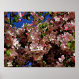 Póster Pink Spring Blossoms Blue Sky Orton Effect