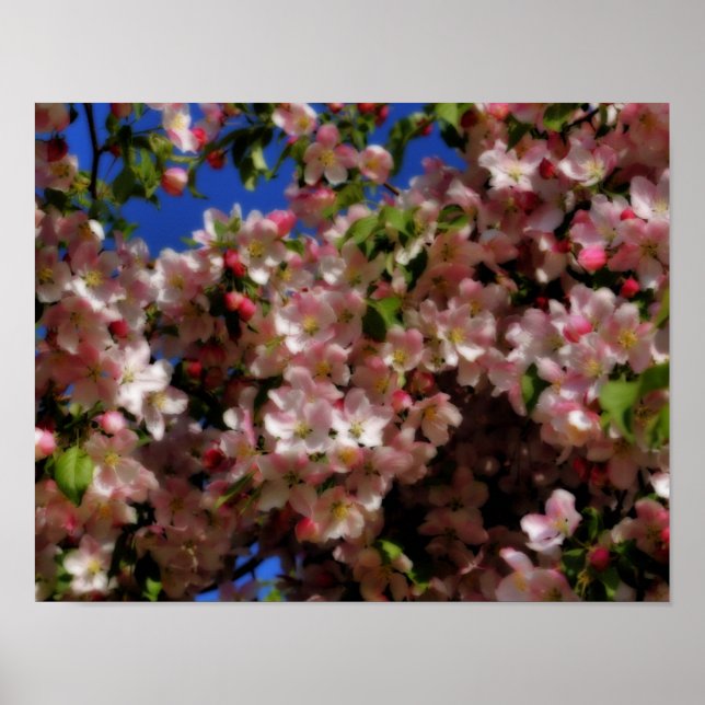 Póster Pink Spring Blossoms Blue Sky Orton Effect (Frente)