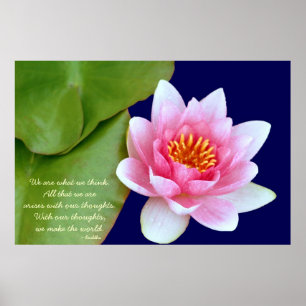 Póster Pink Waterlily Con Cita De Buda