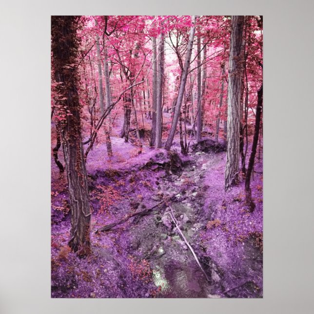 Póster Pink Wonderland (Frente)