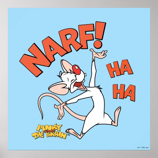Póster Pinky y el cerebro | Pinky "Narf" (Frente)