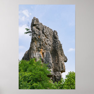 Póster pinnáculos de Shilin bosque de piedra - Yunnan, Ch