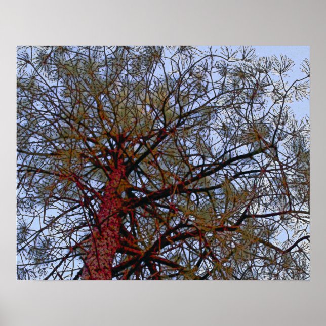 Póster Pino con zorrillo rojo (detalle) (Frente)