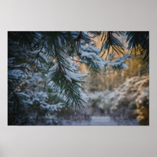Póster Pino cubierto de nieve en el bosque invernal
