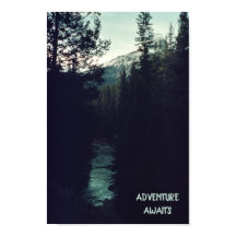 Pino de Rockies Canadienses