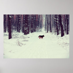 Póster Pino nevado de invierno, perro caminando por los b