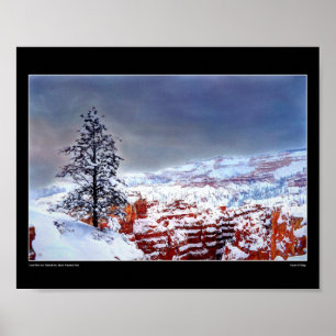Póster Pino solitario en un cielo pintado - Poster Bella 