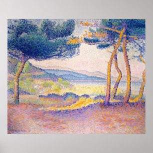 Póster Pinos a lo largo de la costa