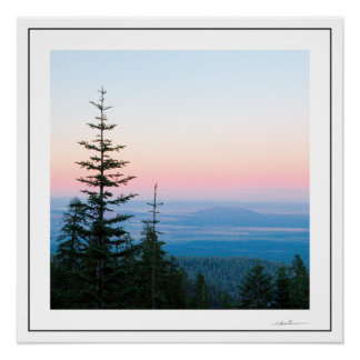 Póster Pinos Atardecer de Sidharta