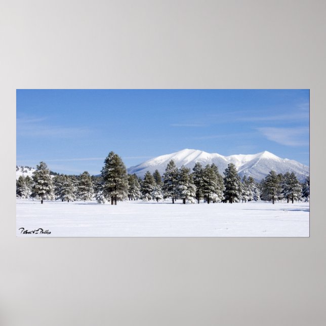 Póster Pinos cubiertos de nieve y San Francisco Peaks Ari (Frente)