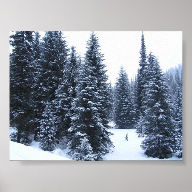 Póster Pinos en invierno (Frente)
