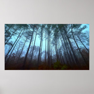 Póster Pinos en la Niebla