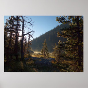Póster Pinos Helados Iluminados por el Sol en Dream Lake