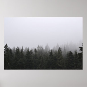 PÓSTER PINOS VERDES BAJO CIELO BLANCO