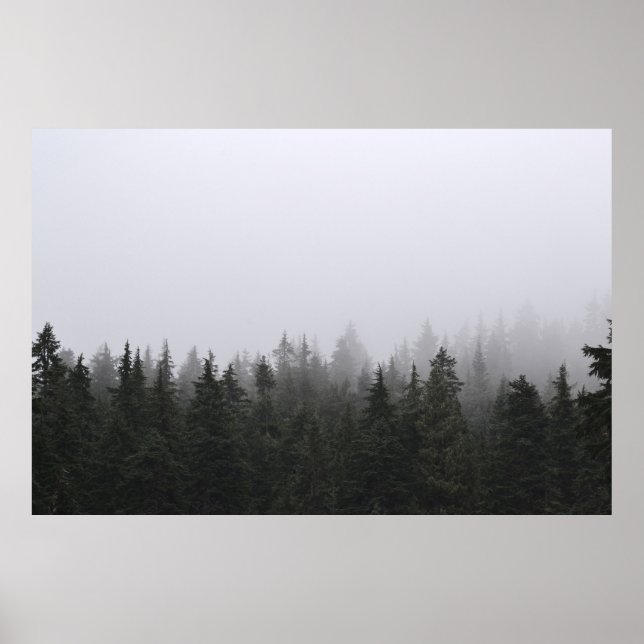 PÓSTER PINOS VERDES BAJO CIELO BLANCO (Frente)