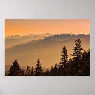 PÓSTER PINOS VERDES EN MONTAÑA DURANTE EL DÍA