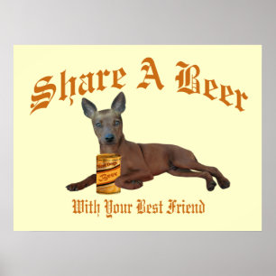 Póster Pinscher en miniatura comparte una cerveza