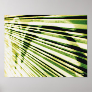 Póster Pintada en un obturador