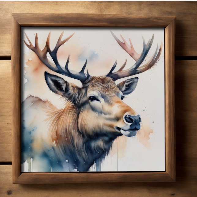 Póster Pintado acuarela de encino (Subido por el creador)