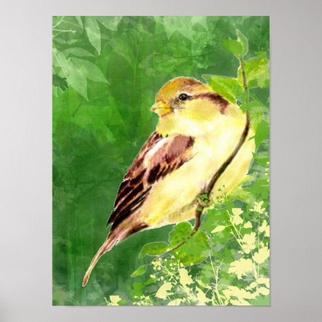 Póster Pintado acuarela de pájaro resplandeciente en árbo (Frente)