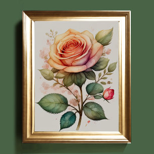 Póster Pintado acuarela de un Rosa rosa III