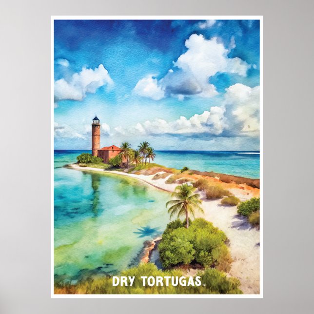 Póster Pintado acuático del Parque Nacional de Tortugas S (Frente)